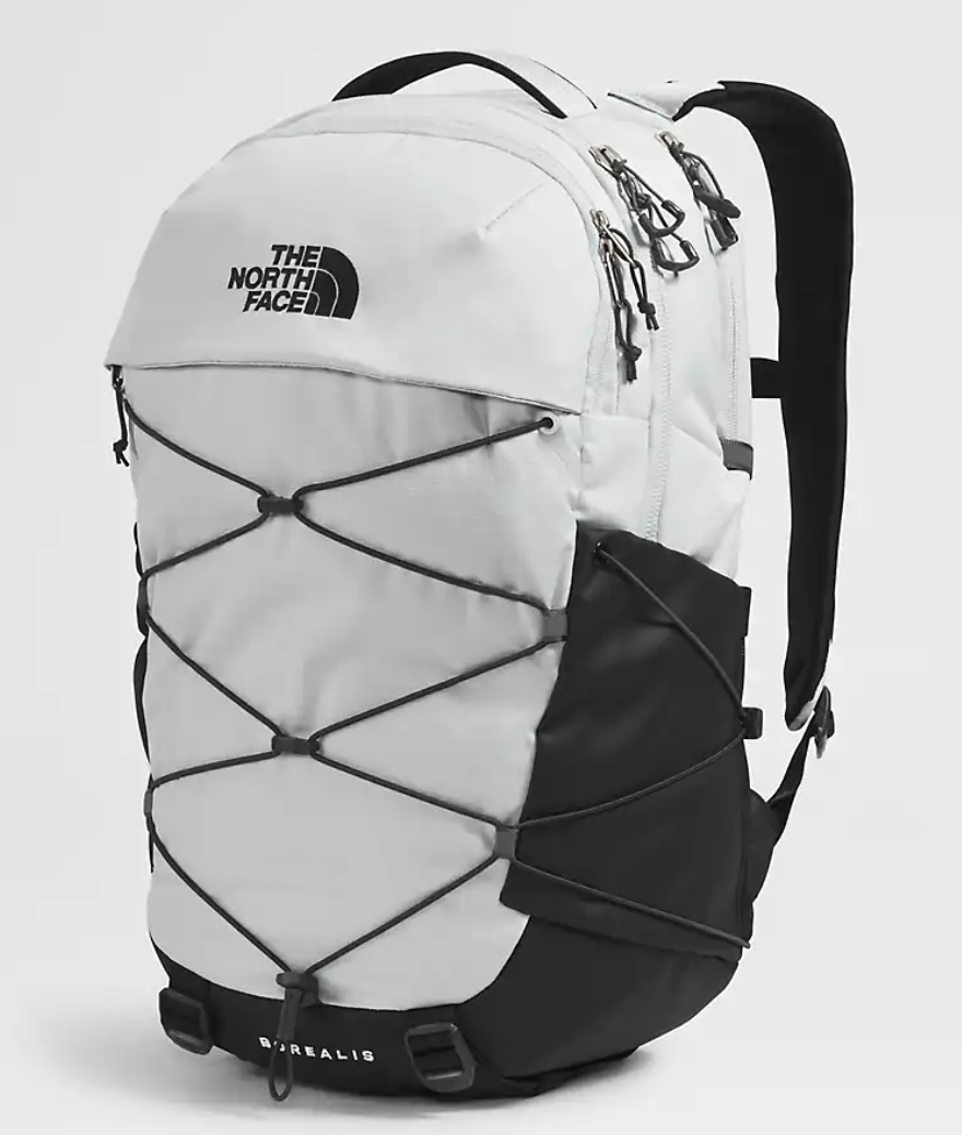  The North Face Borealis Backpack.